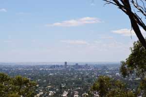 carrick hill 2014 (81)